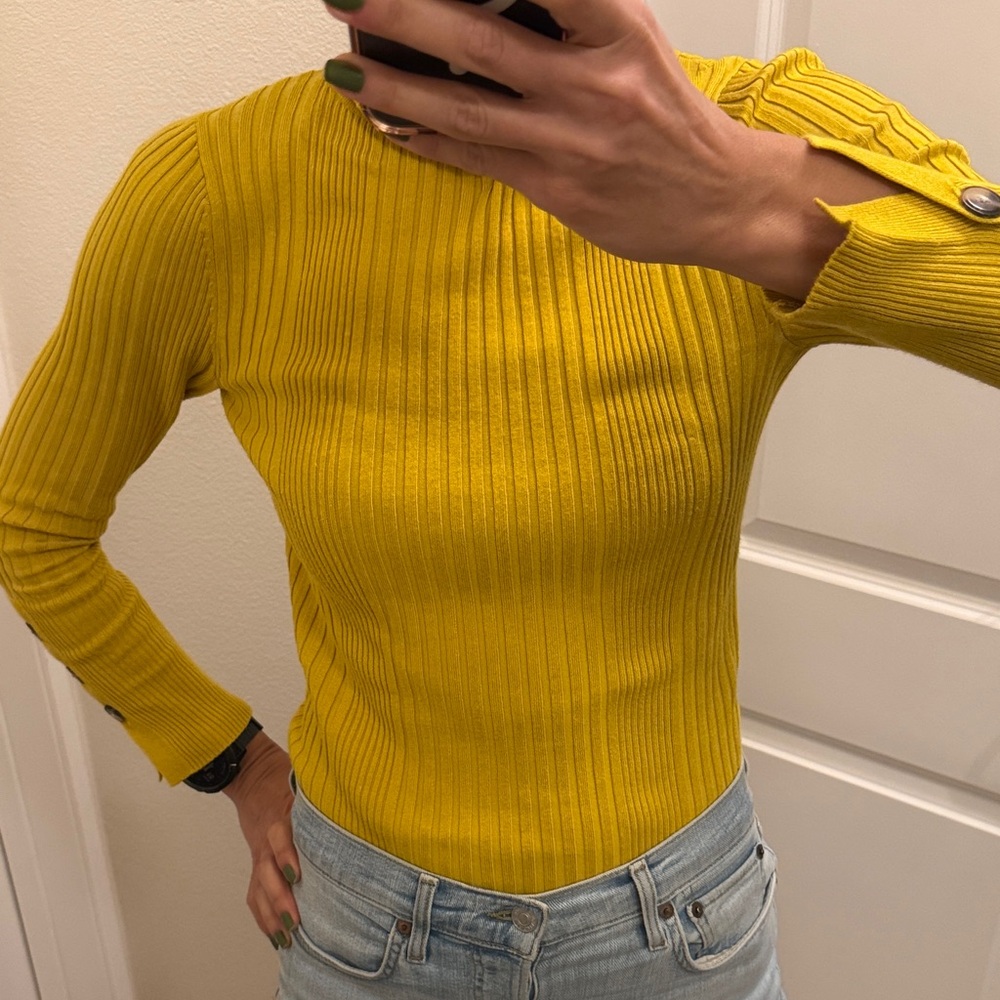 Anthropologie turtle neck